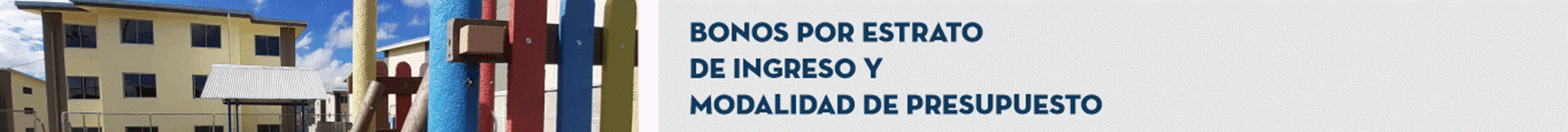 Título: Bonos por Estrato de Ingreso y Modalidad de Presupuesto